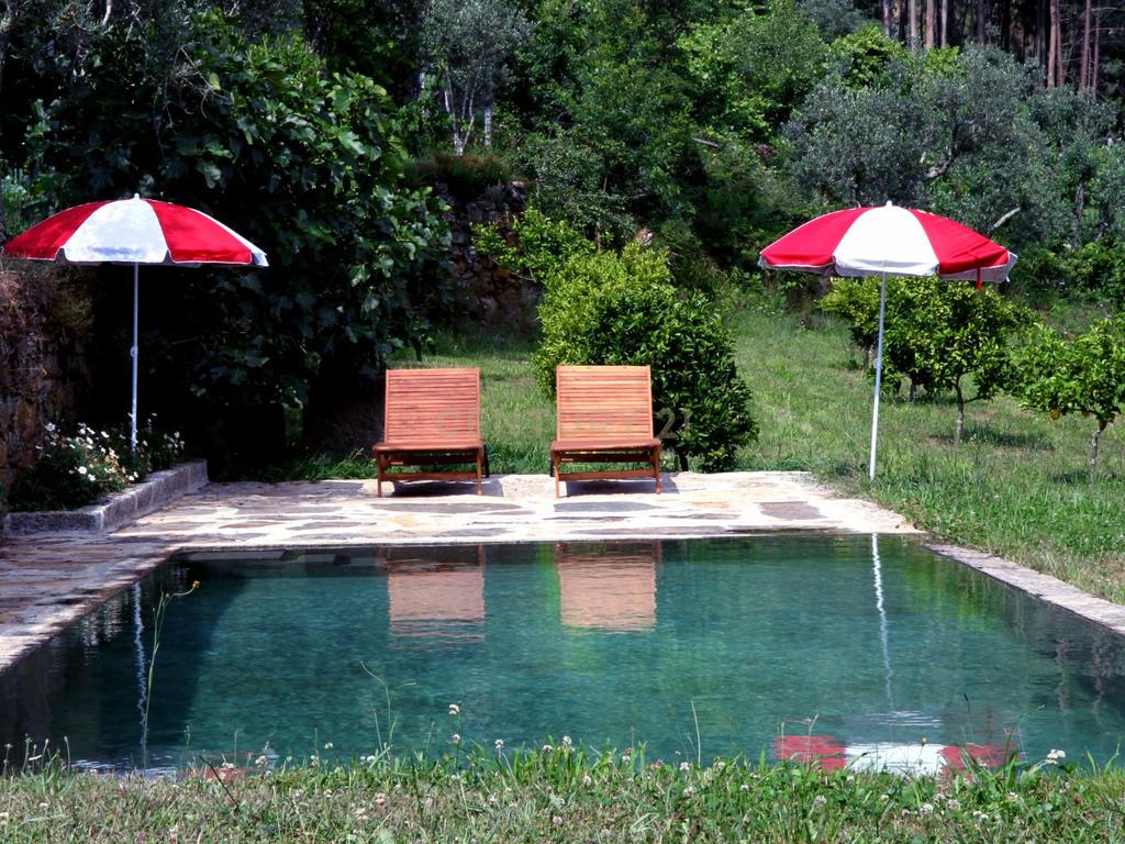 Charmosa Quinta em Castelo de Paiva - Image 12